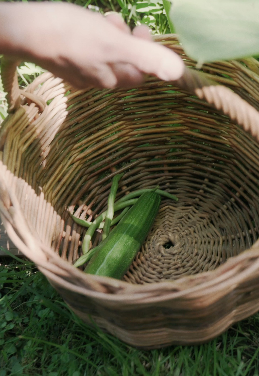 chloé-monteillet-potager Barikenn-penhors